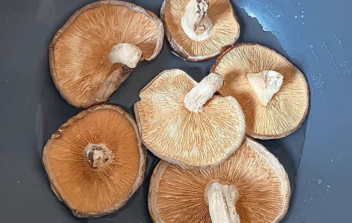 干しシイタケを水で戻している写真（撮影：エニママ）