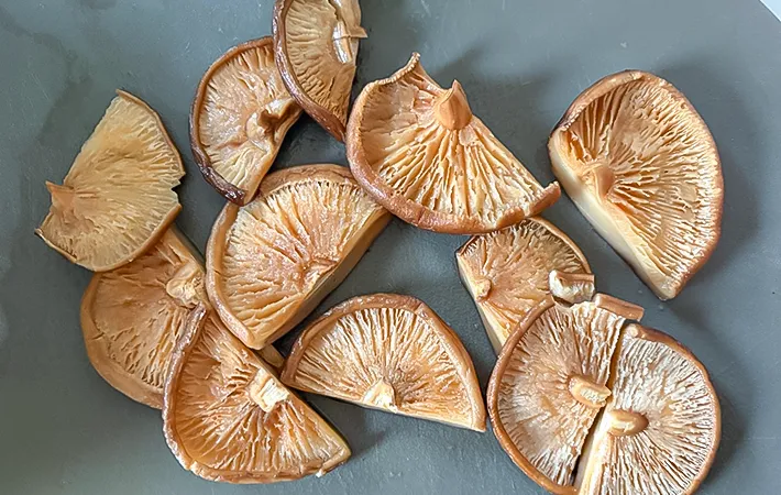 シイタケを半分にカットした写真（撮影：エニママ）