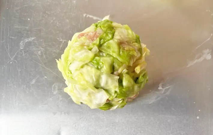 『キャベツでシュウマイ』を作る写真（撮影：エニママ）