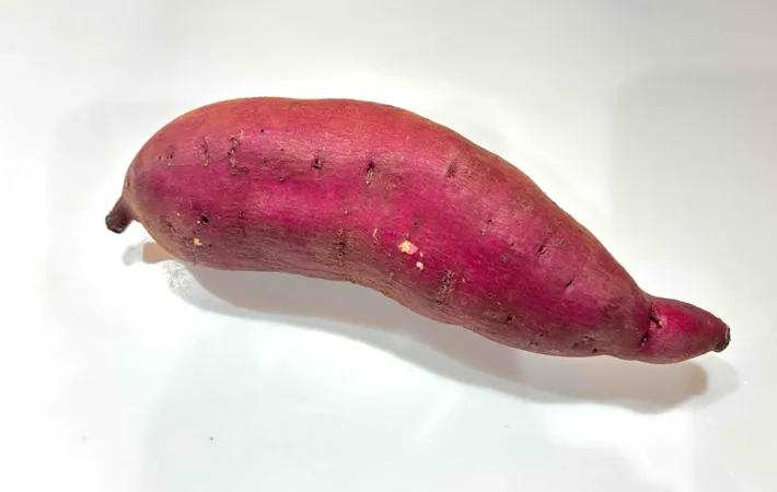 『サツマイモ』の写真（撮影：エニママ）