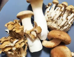 『塩こんぶとオリーブオイルの簡単きのこソテー』の作り方の画像（撮影：エニママ）