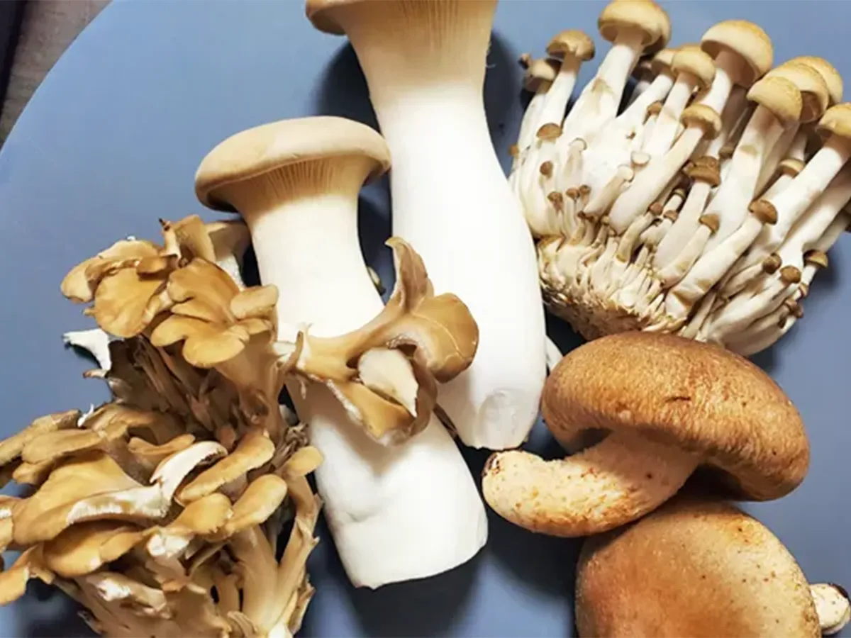 『塩こんぶとオリーブオイルの簡単きのこソテー』の作り方の画像(撮影:エニママ)