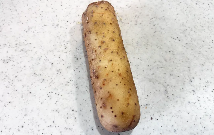 山芋の写真（撮影：エニママ）