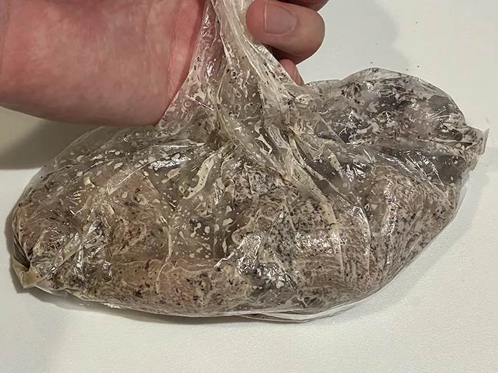 材料が入った食品用ポリ袋の写真（撮影：grape編集部）