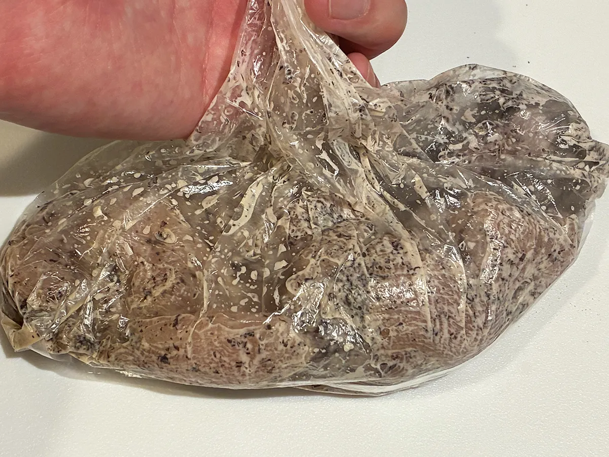 材料が入った食品用ポリ袋の写真(撮影:grape編集部)