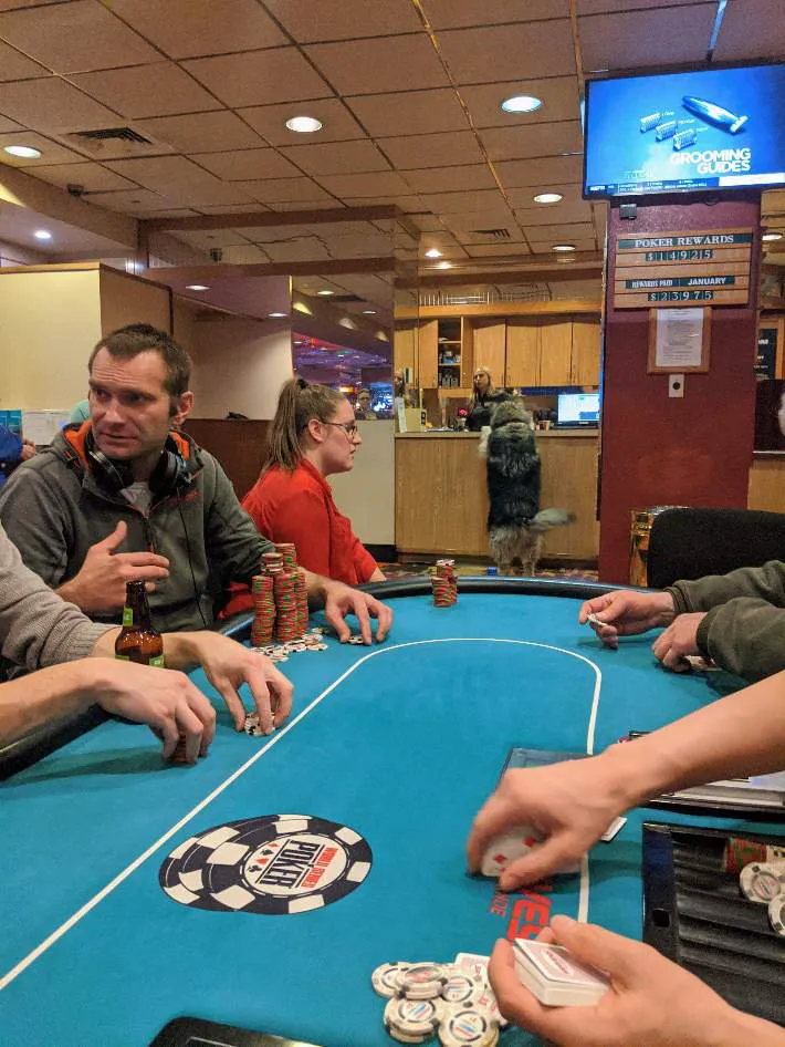 ポーカーをする人と犬の写真