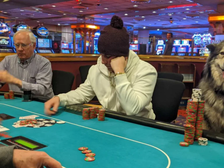 ポーカーをする人と犬の写真