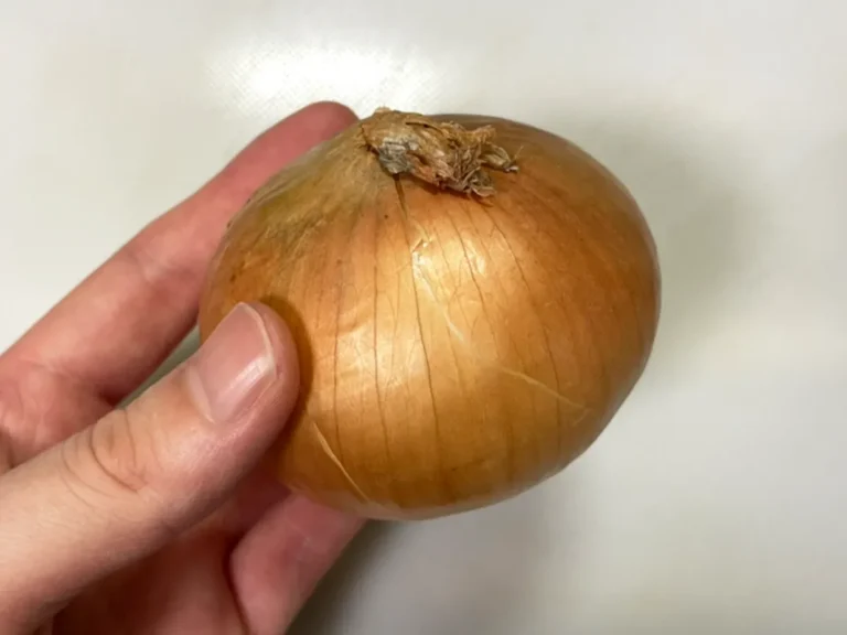 タマネギの写真(撮影:grape編集部)