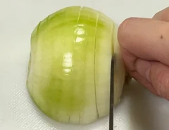 タマネギの写真（撮影：grape編集部）