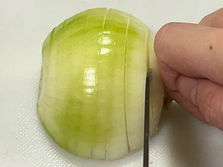 タマネギの写真(撮影:grape編集部)