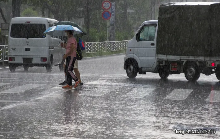 『雨の横断歩道』の写真