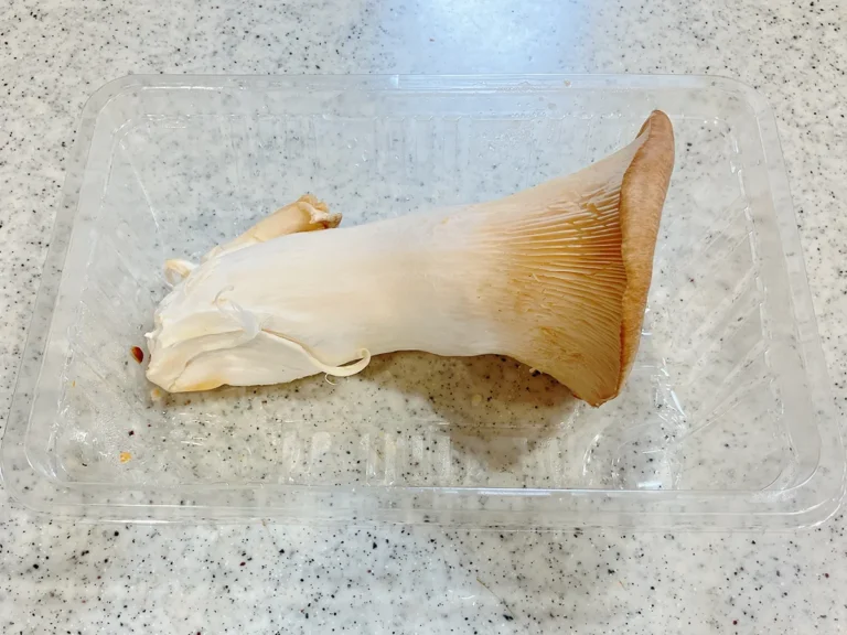 エリンギ（撮影：grape編集部）