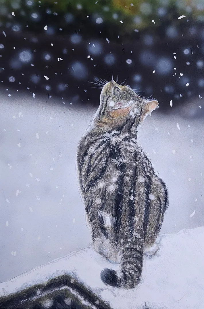 雪を見つめる猫を表現した色鉛筆画の写真