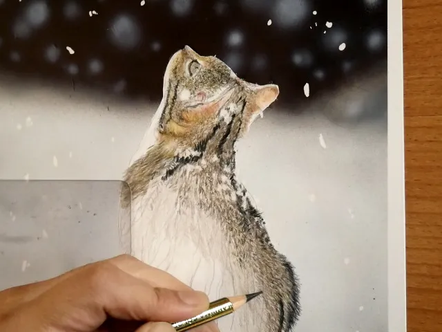 制作途中の色鉛筆画の写真