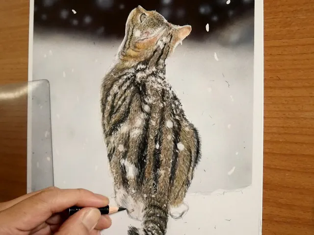 制作途中の色鉛筆画の写真