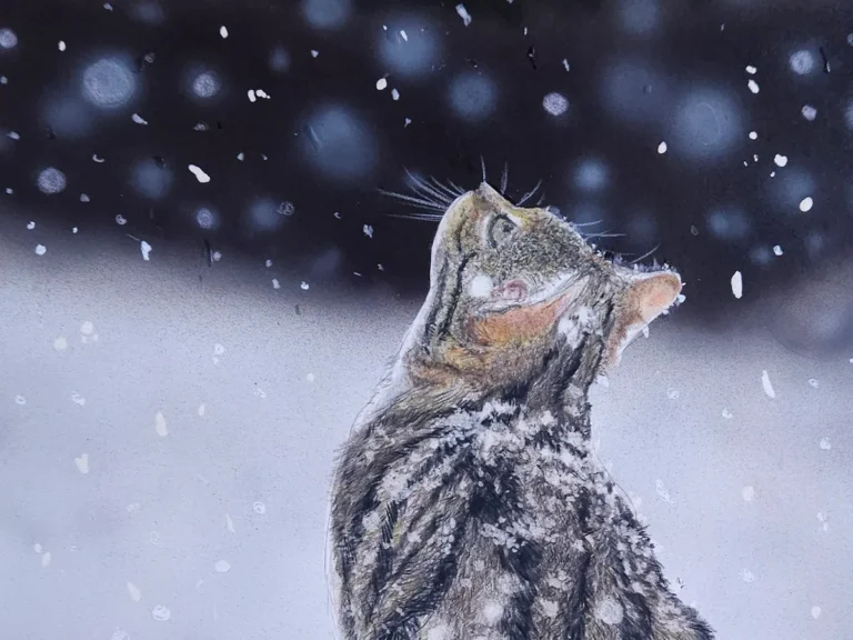 雪を見つめる猫を表現した色鉛筆画の写真