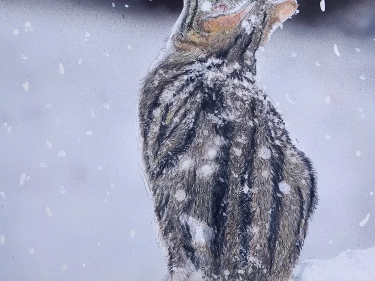 雪を見つめる猫を表現した色鉛筆画の写真