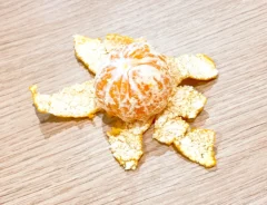 みかん（撮影：grape編集部）