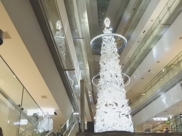 撮影：grape編集部