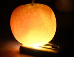 スマホで照らされたリンゴ