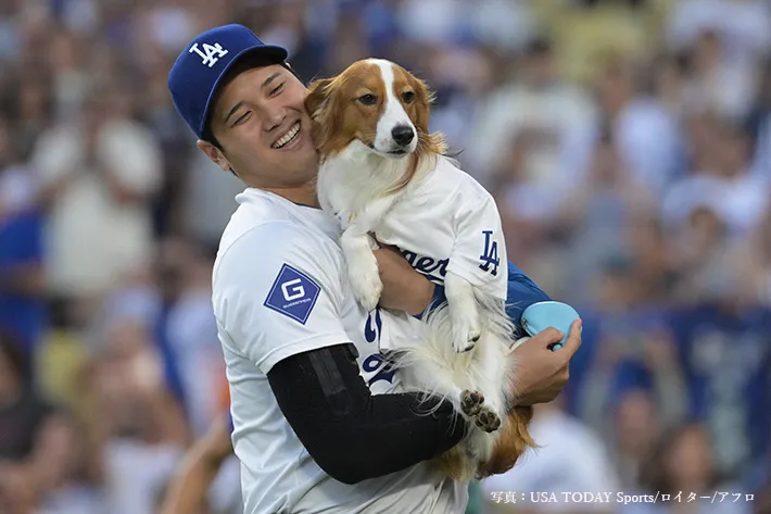愛犬を抱きしめる大谷翔平選手の写真