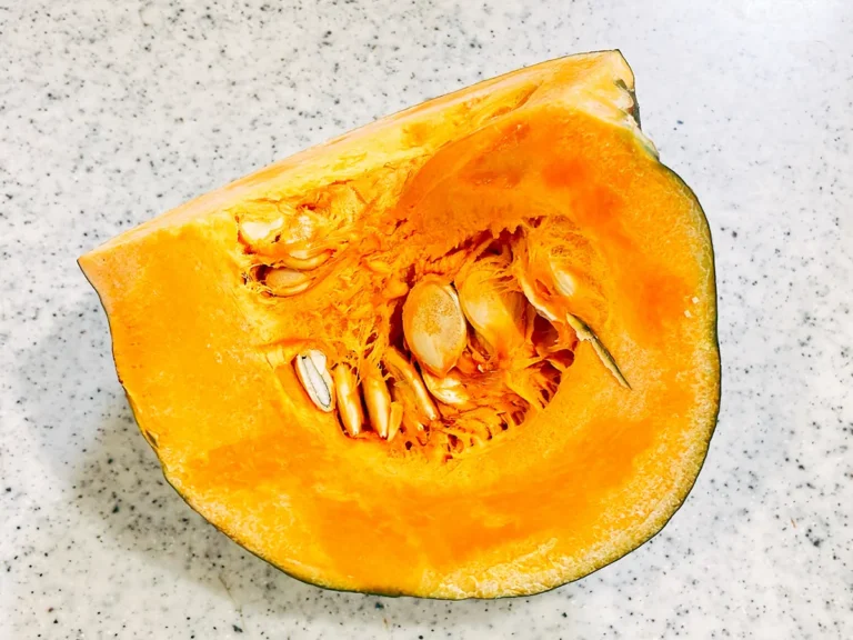 カボチャ（撮影：grape編集部）