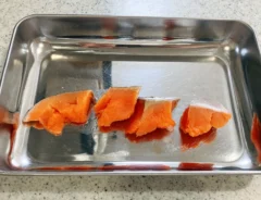 鮭（撮影：grape編集部）