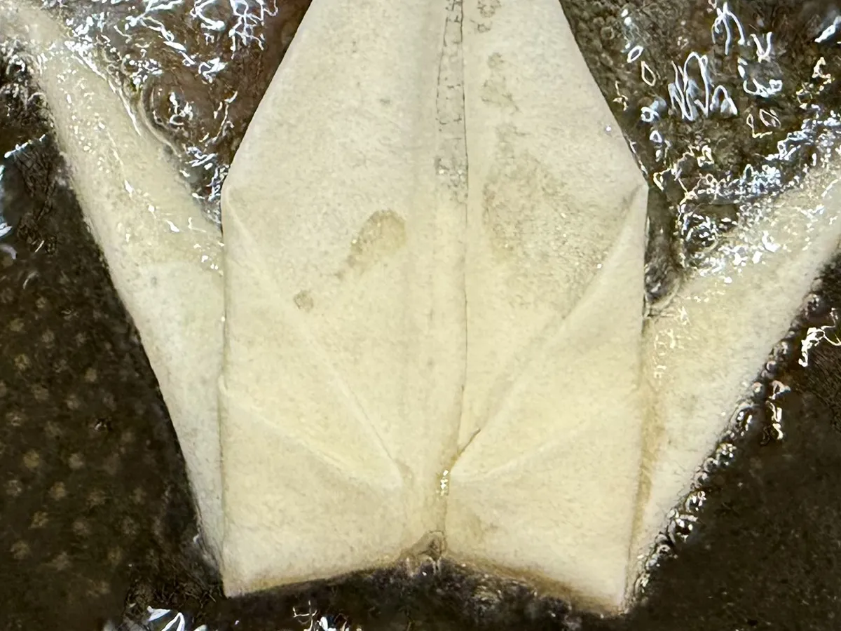 春巻きの皮で作った鶴