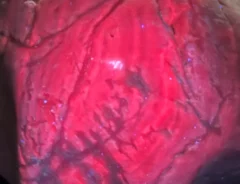 ライトが当たって光り輝くコランダムの写真