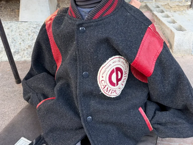 人間の服を着たイタリアン・グレーハウンド