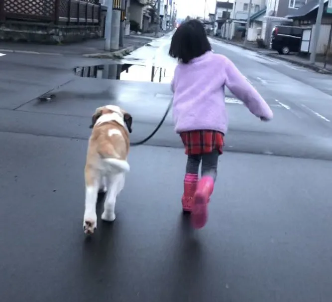 5年半前の愛犬と娘さんの写真