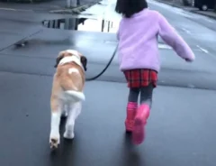 愛犬と娘さんの写真