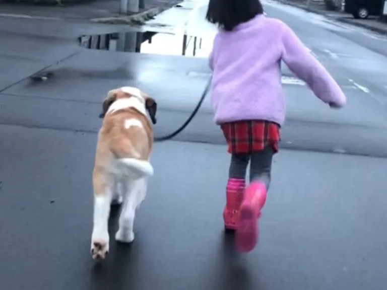 愛犬と娘さんの写真