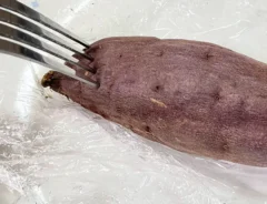 サツマイモの写真（撮影：grape編集部）