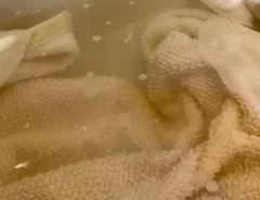 茶色の水の写真