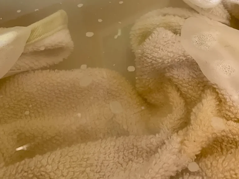 茶色の水の写真