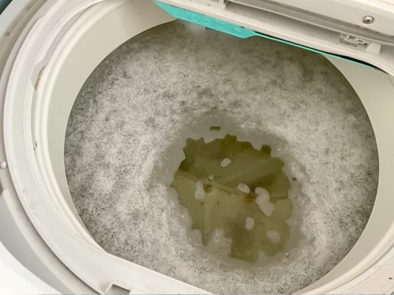 洗濯槽の茶色い水の写真（撮影：Heulie）