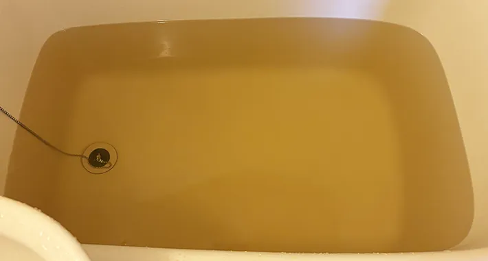 『さぬきうどんの香湯』の画像（撮影：grape編集部）