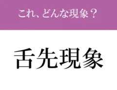 雑学のイメージ画像
