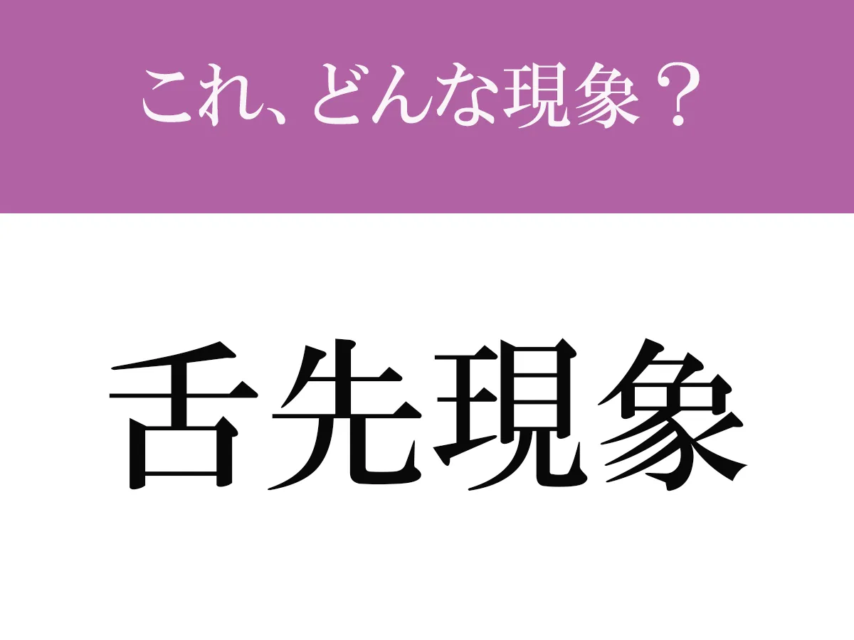 雑学のイメージ画像