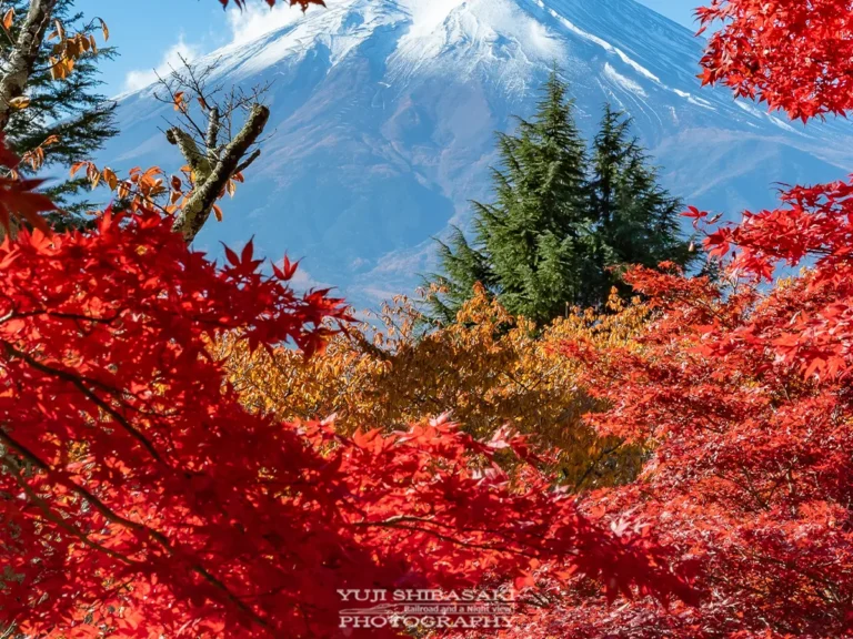 Yuji Shibasakiさんの紅葉と富士の写真
