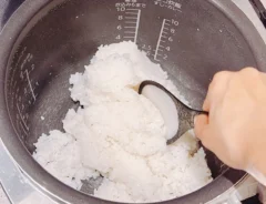 『炊飯器のご飯』の写真（撮影：キジカク）