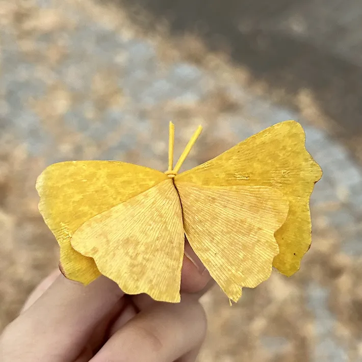 イチョウの葉を蝶に見立てた作品の写真