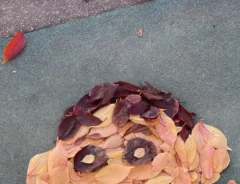 野原しんのすけを落ち葉で表現した作品の写真