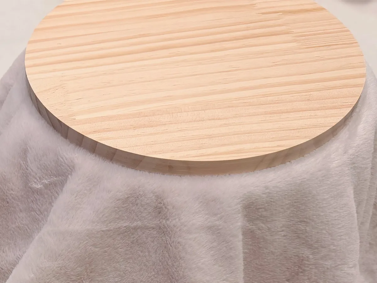 コタツに入る猫