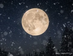 満月のイメージ写真