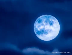 満月のイメージ写真