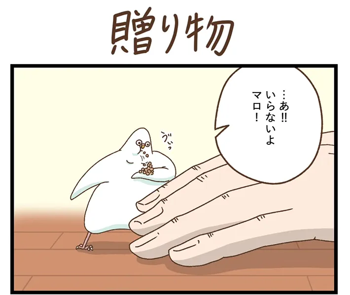 タクセリョリータさんの漫画の画像