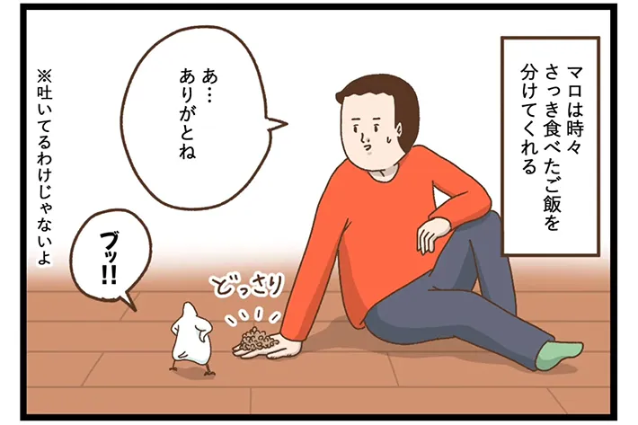 タクセリョリータさんの漫画の画像