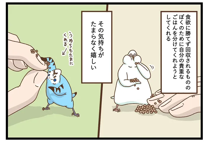 タクセリョリータさんの漫画の画像